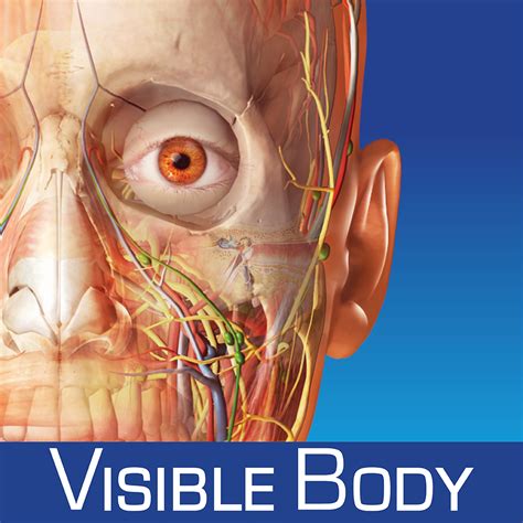 Trusted Windows (PC) download Human Anatomy Atlas 7. . Human anatomy atlas sp